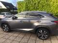 Lexus NX 300h NX 300h 2.5i FWD Black Line E-CVT (EU6.2) Gri - thumbnail 1