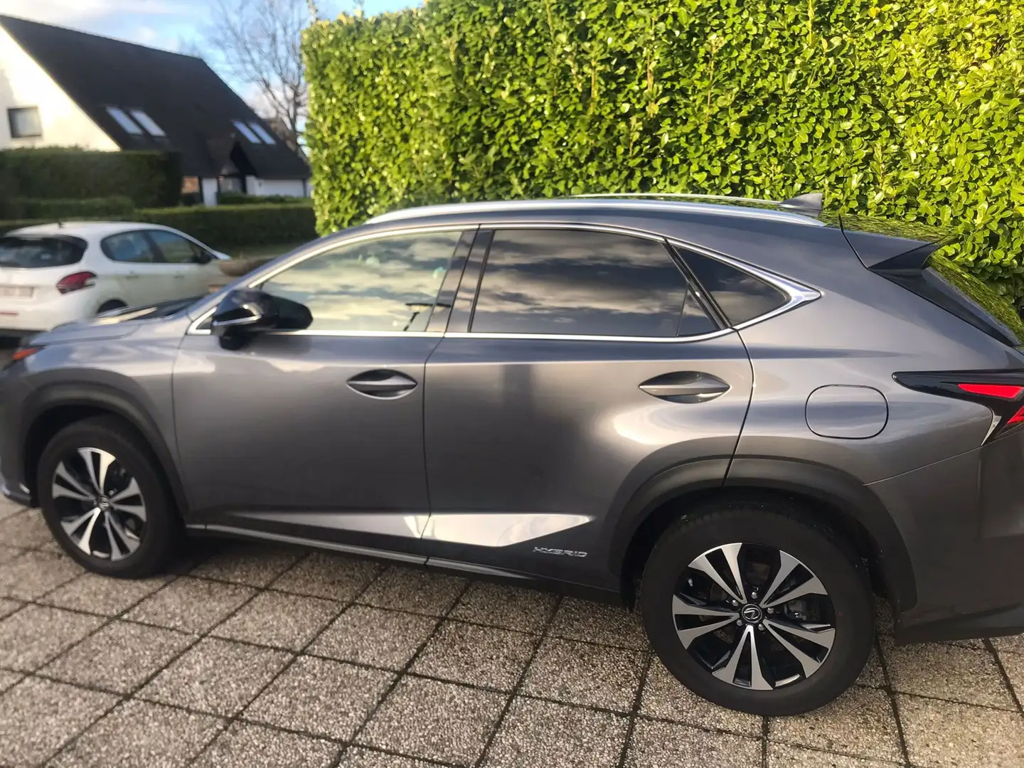 Lexus NX 300h NX 300h 2.5i FWD Black Line E-CVT (EU6.2) Gri - 1