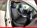 Mercedes-Benz GLE 350 300 d 2.0 Mhev 4Matic AMG Premium Plus (TETTO PANO Bianco - thumbnail 8
