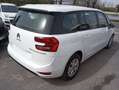 Citroen Grand C4 SpaceTourer 1.5 BlueHDi 130CV Feel Aut. Blanc - thumbnail 6