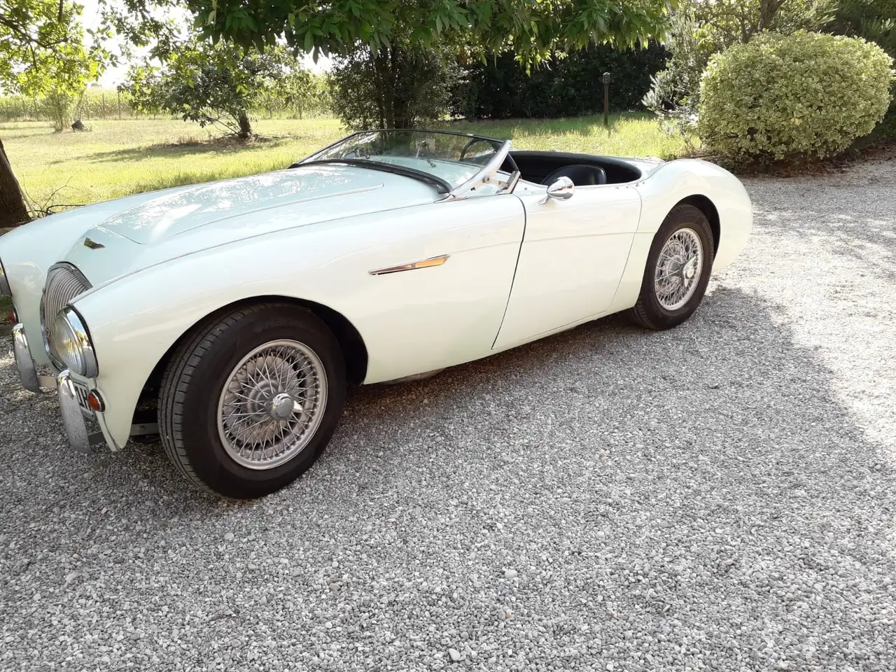 Austin-Healey 100 BN 1 1954, foto 2
