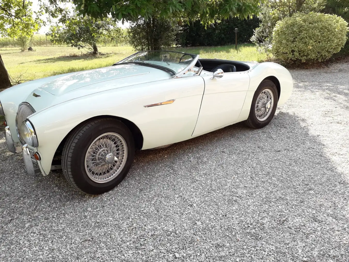 Austin-Healey 100 BN 1 1954 - 2