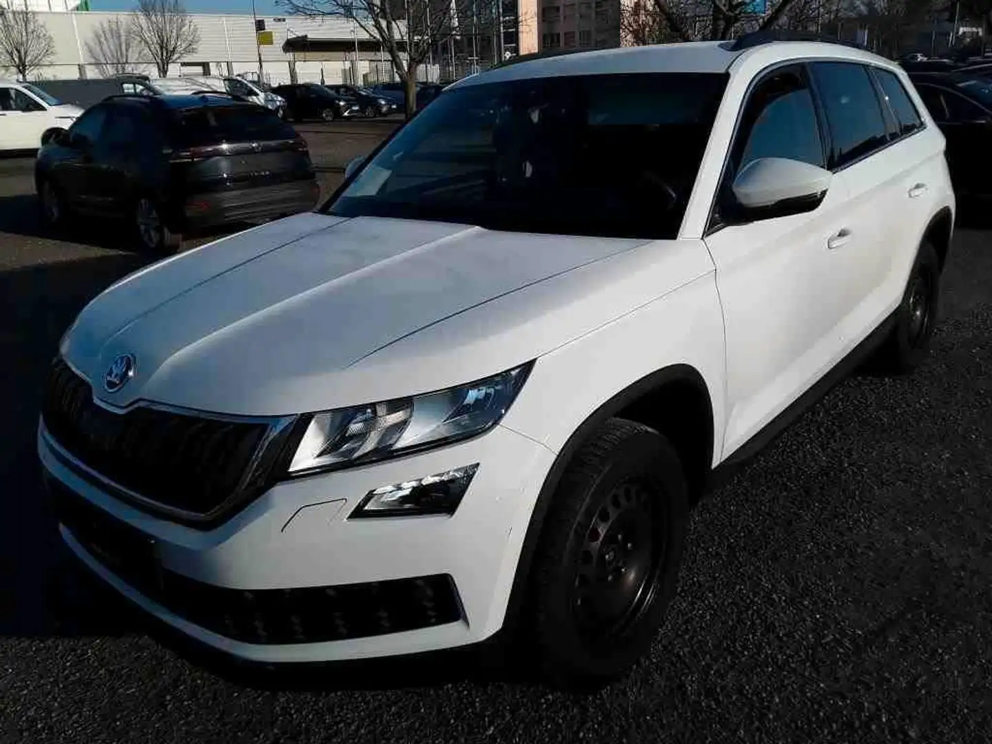 Skoda Kodiaq Ambition2.0TDI DSG Navi SHZ PDC Alu bijela - 1