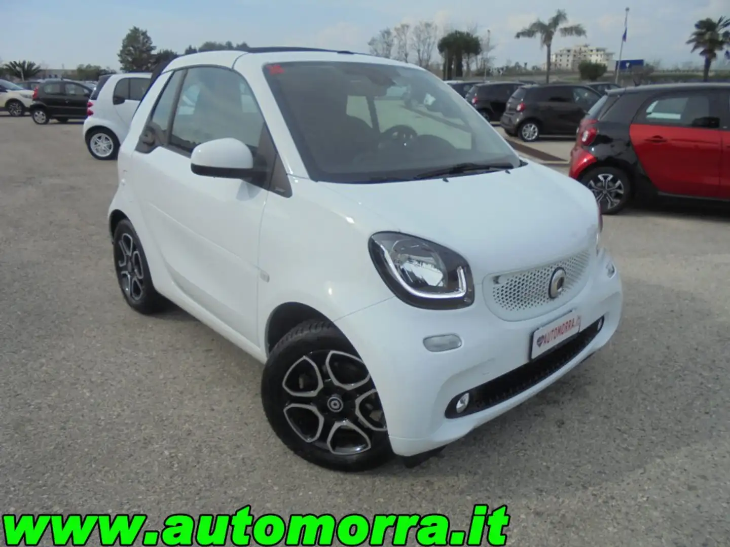 smart forTwo 1.0 twinamic cabrio Passion n°35 Blanc - 1