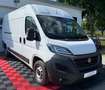 Fiat Ducato Grossr.-Kasten 33 160 L4H2 RS: 4035 mm Weiß - thumbnail 6