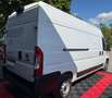 Fiat Ducato Grossr.-Kasten 33 160 L4H2 RS: 4035 mm Weiß - thumbnail 28