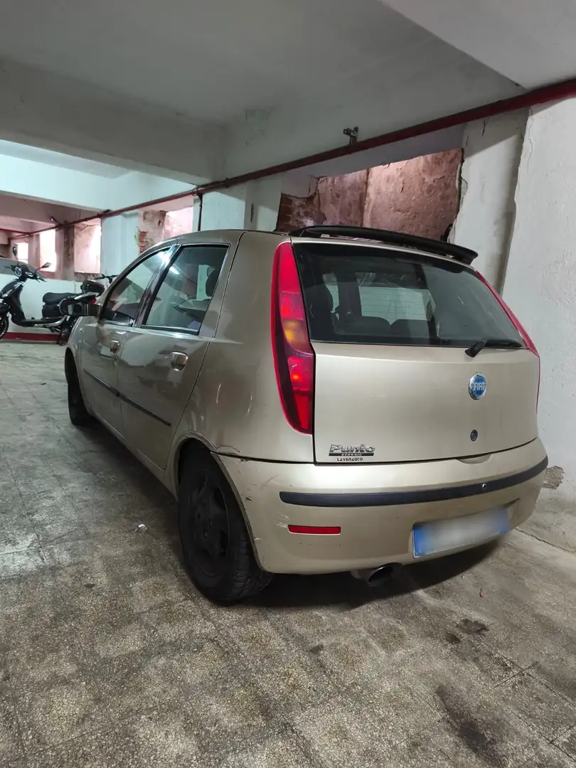 Fiat Punto 5p 1.2 Dynamic - 2