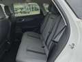 MG Sonstige MGS5 EV Luxury 64 kWh Long Range AKTIONSPREIS !! Weiß - thumbnail 14