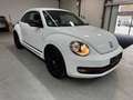 Volkswagen Beetle Sport*Automatik*Sehr gepflegt* Weiß - thumbnail 3