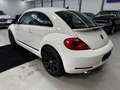 Volkswagen Beetle Sport*Automatik*Sehr gepflegt* Weiß - thumbnail 6