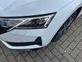 Skoda Octavia Combi 2.0 TDI DSG Sportline *CANTON*AHK*MATRIX* Weiß - thumbnail 6