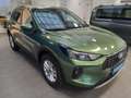 Ford Kuga 2,5 Duratec FHEV Titanium Aut. Grün - thumbnail 6