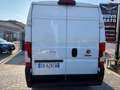 Fiat Ducato Ducato 33 2.2 Mjt 140CV MH2 PM-TN Furgone Bianco - thumbnail 5