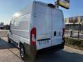 Fiat Ducato Ducato 33 2.2 Mjt 140CV MH2 PM-TN Furgone Bianco - thumbnail 4