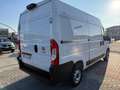 Fiat Ducato Ducato 33 2.2 Mjt 140CV MH2 PM-TN Furgone Bianco - thumbnail 6