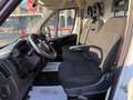 Fiat Ducato Ducato 33 2.2 Mjt 140CV MH2 PM-TN Furgone Bianco - thumbnail 8