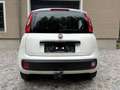 Fiat Panda 1,2 *AHK*Klima*Pickerl 12/26+4Mo*ZR neu*Alu* Weiß - thumbnail 9