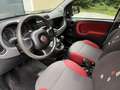 Fiat Panda 1,2 *AHK*Klima*Pickerl 12/26+4Mo*ZR neu*Alu* Weiß - thumbnail 13