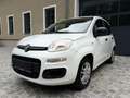 Fiat Panda 1,2 *AHK*Klima*Pickerl 12/26+4Mo*ZR neu*Alu* Weiß - thumbnail 8