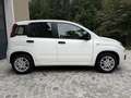 Fiat Panda 1,2 *AHK*Klima*Pickerl 12/26+4Mo*ZR neu*Alu* Weiß - thumbnail 4