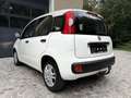 Fiat Panda 1,2 *AHK*Klima*Pickerl 12/26+4Mo*ZR neu*Alu* Weiß - thumbnail 6