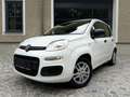 Fiat Panda 1,2 *AHK*Klima*Pickerl 12/26+4Mo*ZR neu*Alu* Weiß - thumbnail 1