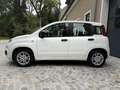 Fiat Panda 1,2 *AHK*Klima*Pickerl 12/26+4Mo*ZR neu*Alu* Weiß - thumbnail 7