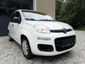 Fiat Panda 1,2 *AHK*Klima*Pickerl 12/26+4Mo*ZR neu*Alu* Weiß - thumbnail 3