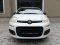 Fiat Panda 1,2 *AHK*Klima*Pickerl 12/26+4Mo*ZR neu*Alu* Weiß - thumbnail 2