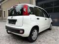 Fiat Panda 1,2 *AHK*Klima*Pickerl 12/26+4Mo*ZR neu*Alu* Weiß - thumbnail 5