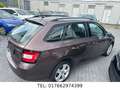 Skoda Fabia Combi Cool Edition/ TÜV Neue Braun - thumbnail 4