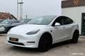 Tesla Model Y long range dual motor awd 75kwh Weiß - thumbnail 5