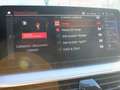 BMW 520 d Touring 48V Aut Nav Pelle Cam UNIPRO IVA DEDUCIB Gris - thumbnail 46