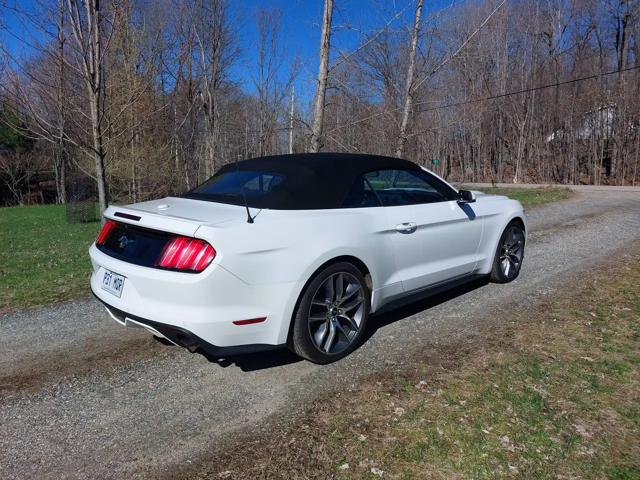 Ford Mustang снимка Ford Mustang