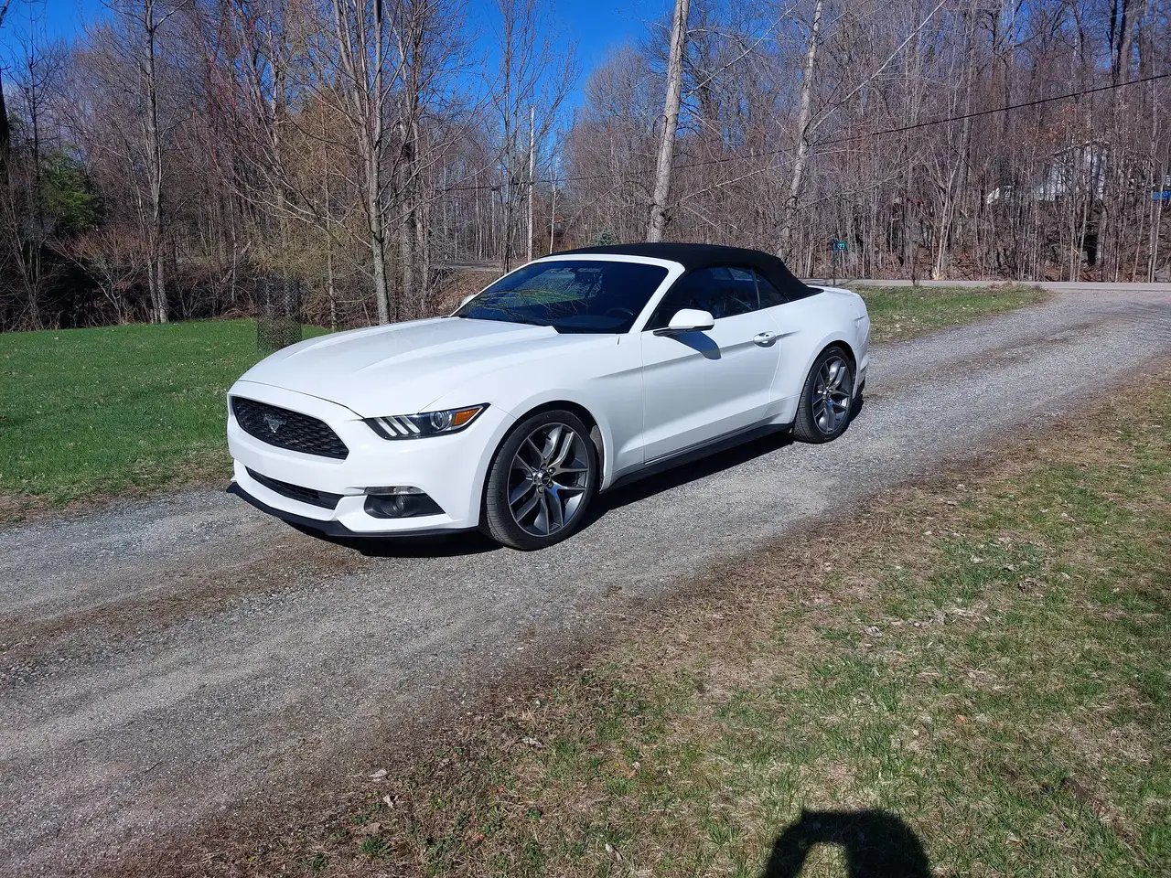 Ford Mustang снимка Ford Mustang