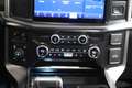 Ford F 150 USA F-150 V6 EcoBoost PLATINUM Zwart - thumbnail 18