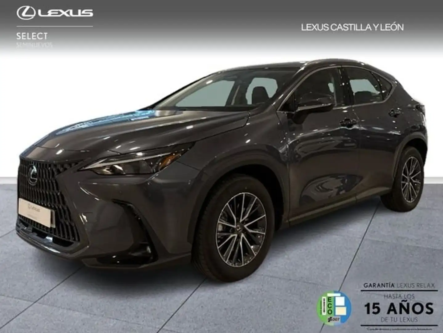 Lexus NX 350h Premium+ 2WD Gris - 1