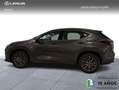 Lexus NX 350h Premium+ 2WD Gris - thumbnail 5