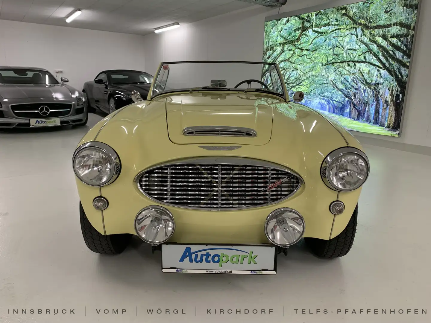 Austin-Healey 3000 Mark I Four-Seater Amarillo - 2