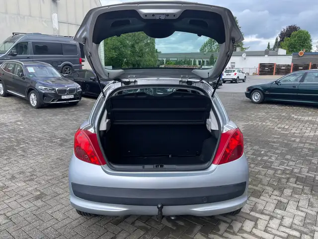 Peugeot 207 view 13
