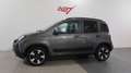 Fiat Panda Panda Cross 1.0 FireFly S&S Hybrid #VARI COLORI # Gri - thumbnail 11