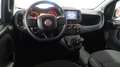 Fiat Panda Panda Cross 1.0 FireFly S&S Hybrid #VARI COLORI # Gri - thumbnail 4