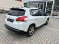 Peugeot 2008 1,6 e-HDI FAP 115 Allure EXPORT Weiß - thumbnail 5