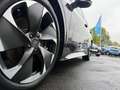 CUPRA Born 170 kW Grau - thumbnail 3