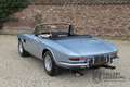Ferrari 275 GTS 34000 Miles! Equipped with factory hard top, F Blauw - thumbnail 17