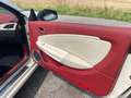Renault Megane Cabriolet Floride Panorama Keyless bež - thumbnail 26