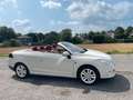Renault Megane Cabriolet Floride Panorama Keyless bež - thumbnail 5
