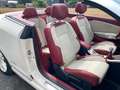 Renault Megane Cabriolet Floride Panorama Keyless bež - thumbnail 30