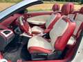 Renault Megane Cabriolet Floride Panorama Keyless bež - thumbnail 21