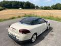 Renault Megane Cabriolet Floride Panorama Keyless bež - thumbnail 38